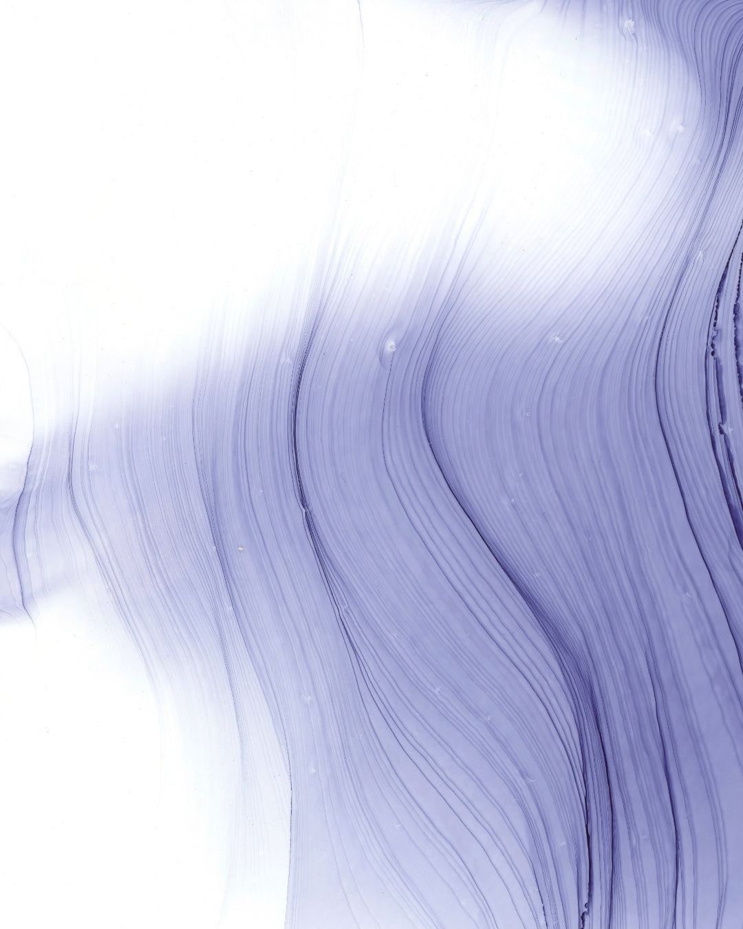 VHart Archive 2020-081