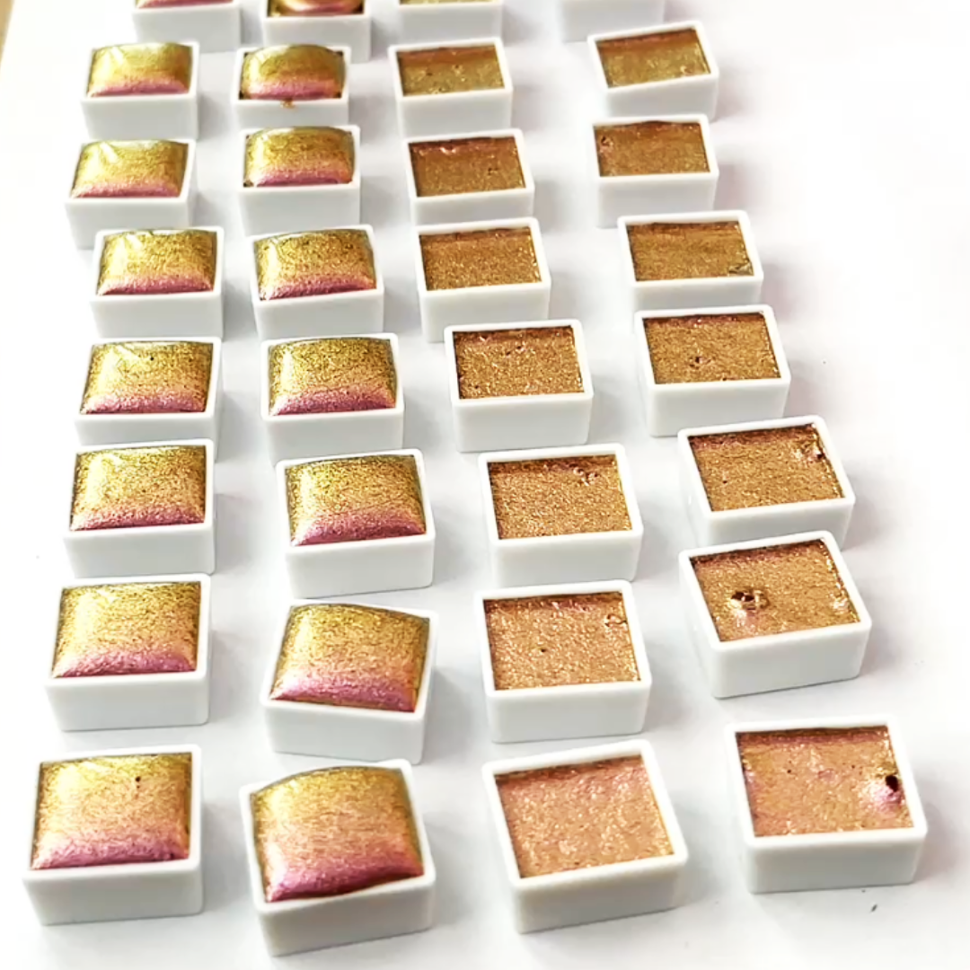 Pigment Behavior — Recorded Video Archive (Edition I)