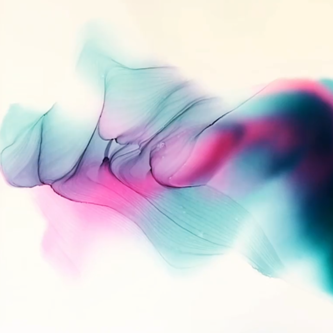 Ink Behavior — Recorded Video Archive (Edition I)