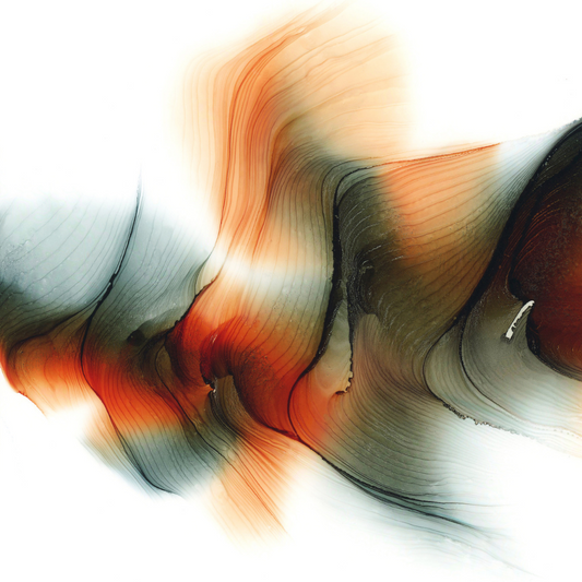 Ink Behavior — Recorded Video Archive (Edition I)