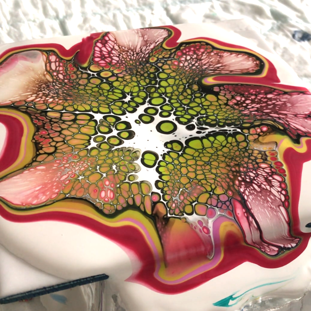 Water-based Behavior — Recorded Video Archive (Edition I)