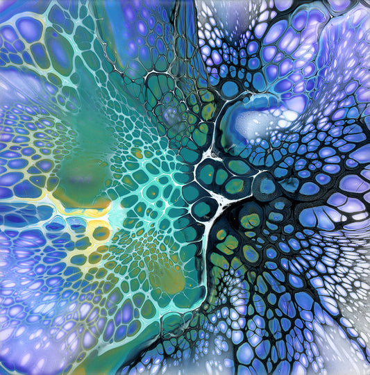 Water-based Behavior — Recorded Video Archive (Edition I)