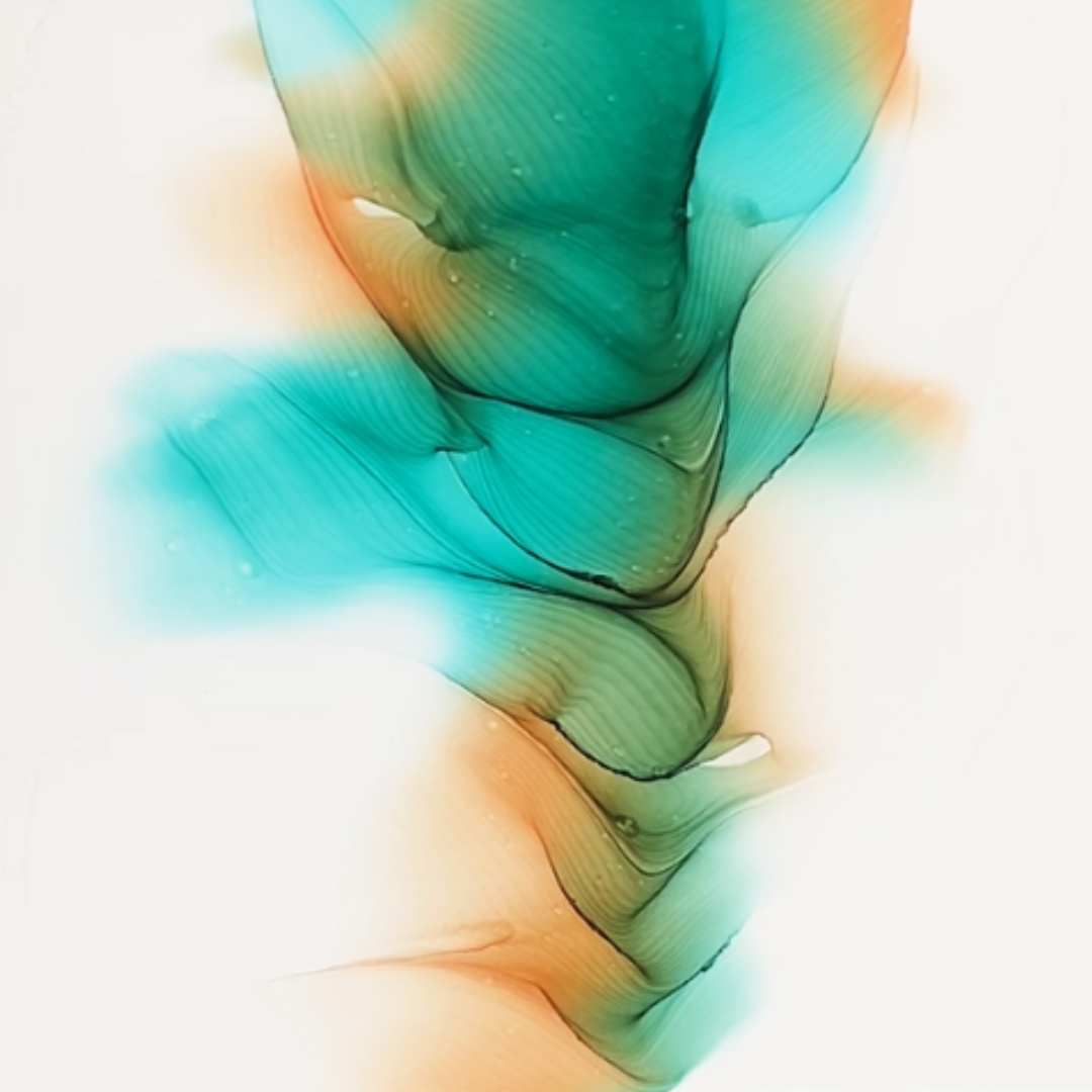 Organic fluid flow and irreversible color gradient development during full ink evaporation process by VHacademy